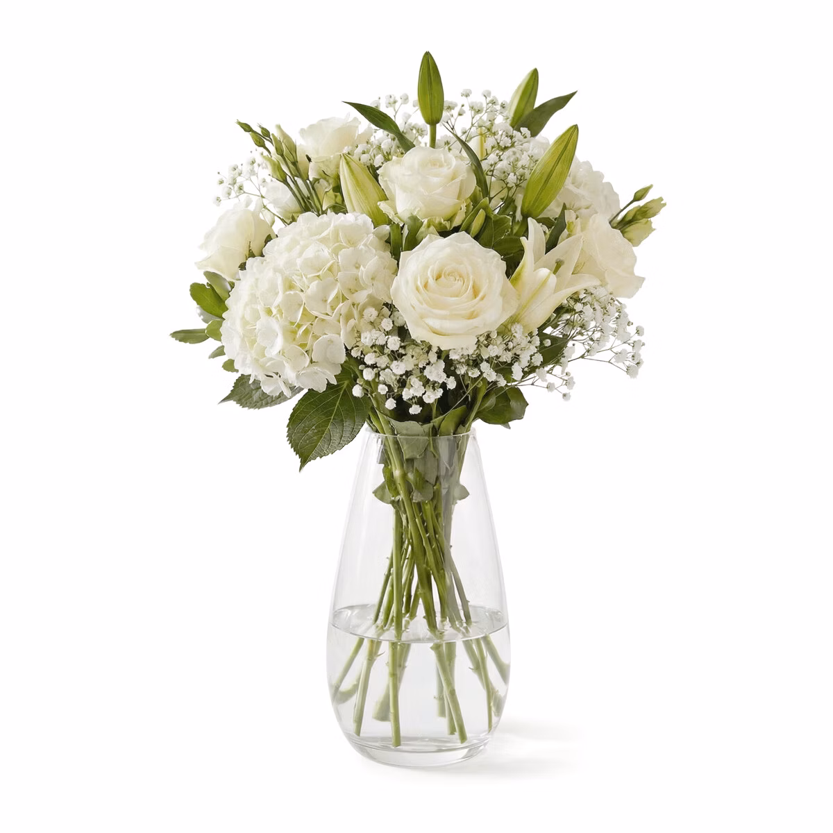 558c823e01bd1ce99df62c611c73b821