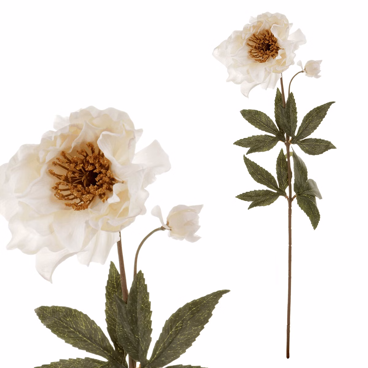 55e193b5469318defd27485d026d1034