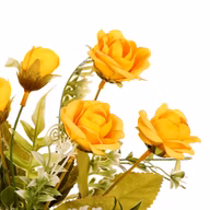 56279b251fd4301080304a27b29ae3ee