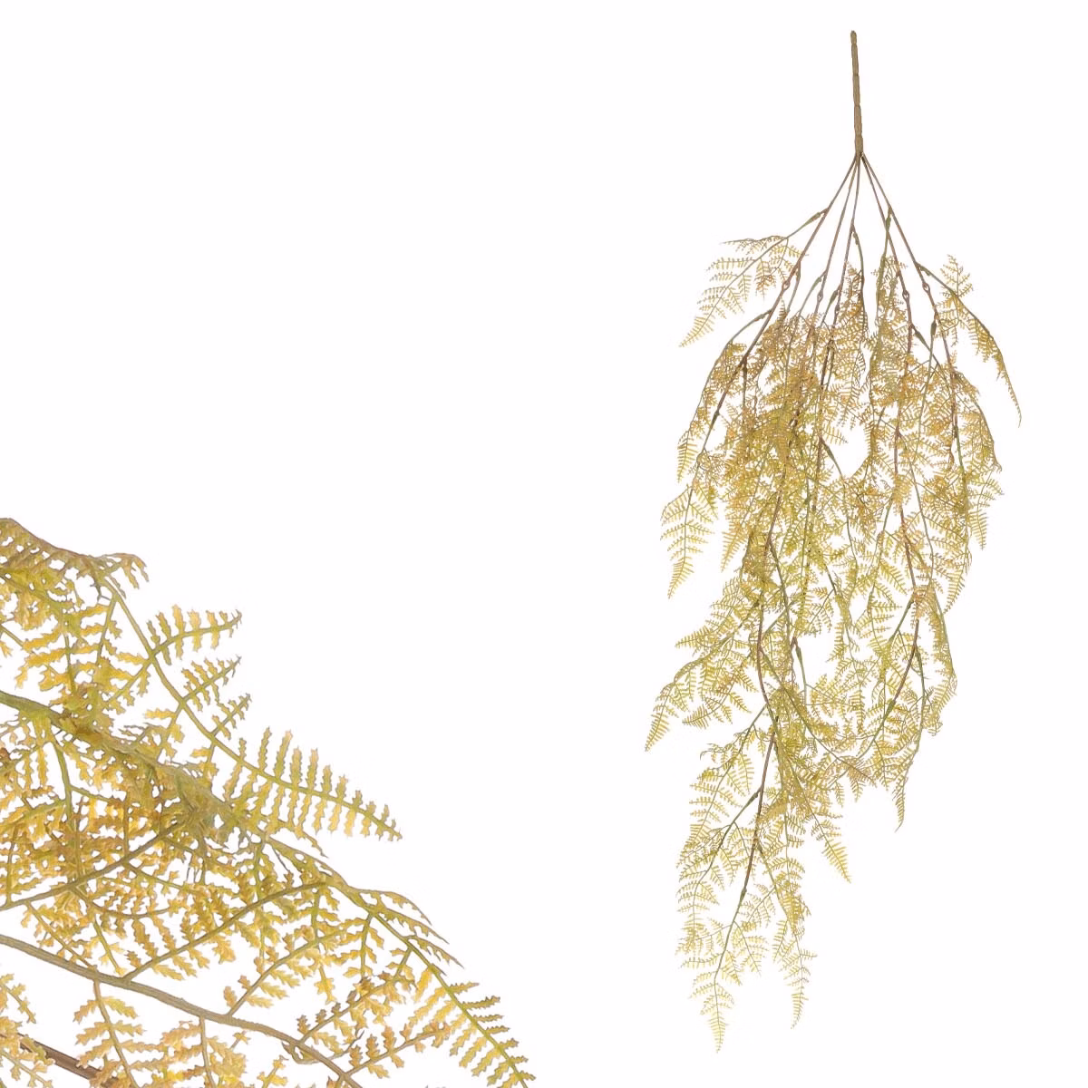 566723304e532c0168f1cc1535012498