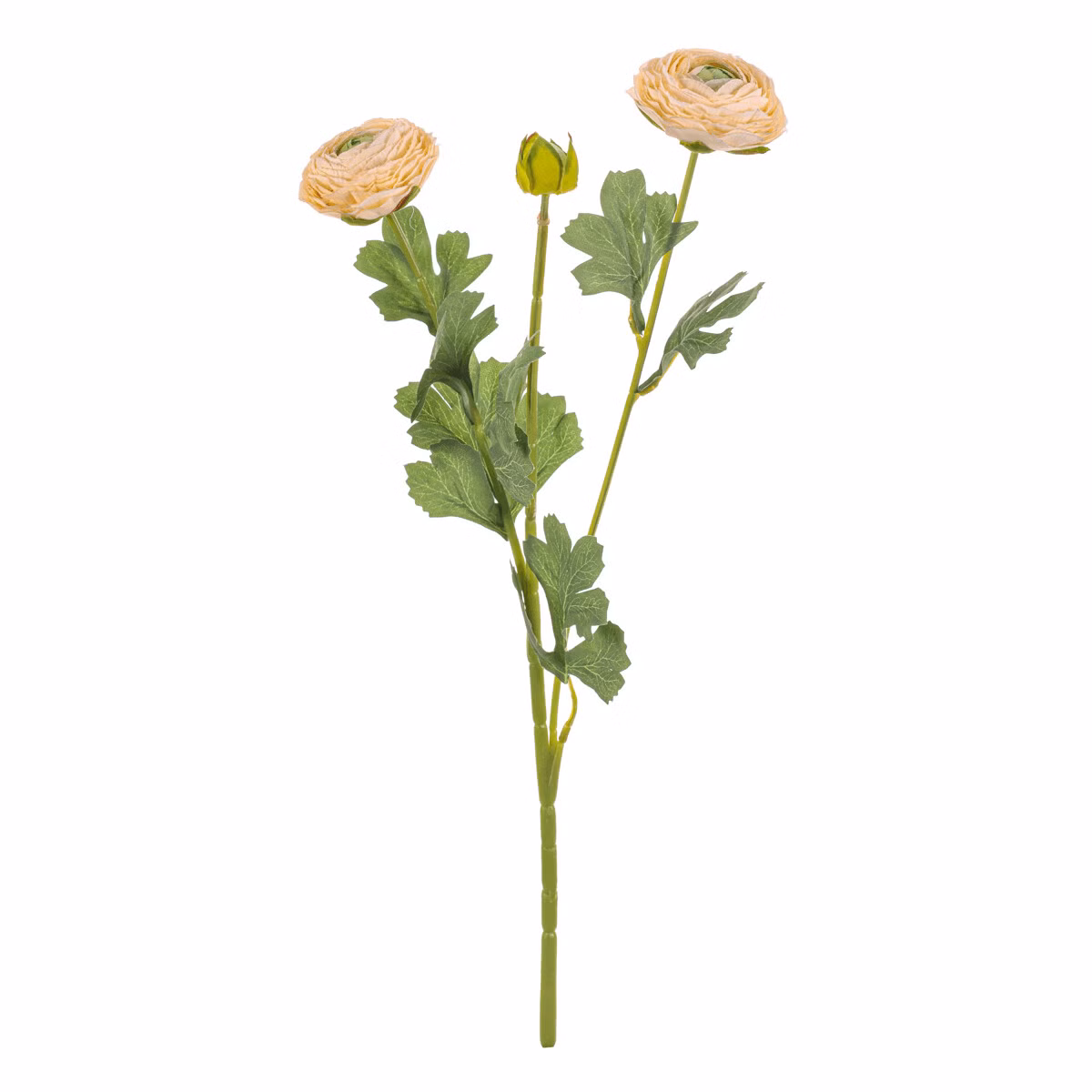 56b7f788ec0b35c17069e8d29edf9a1c