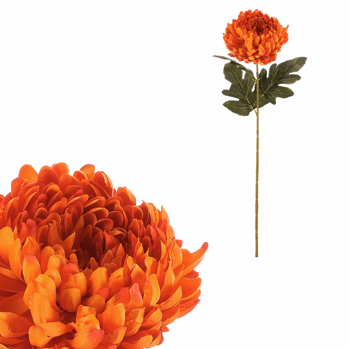 57513d5527e17340871a118564f0a8b9