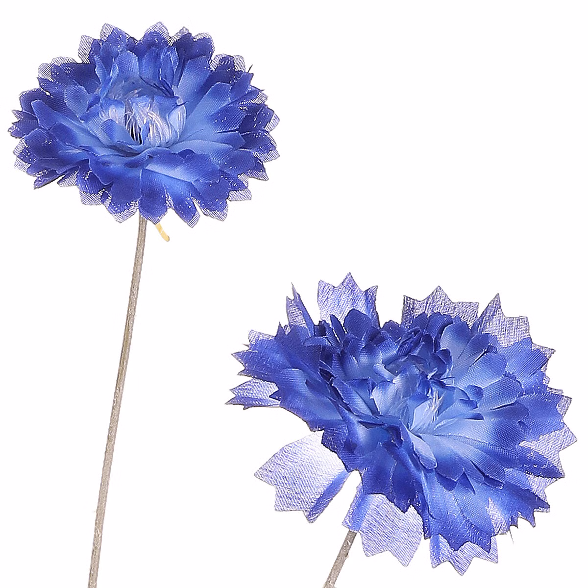 59511c88d33f2ca181f7e12bd7680ed1