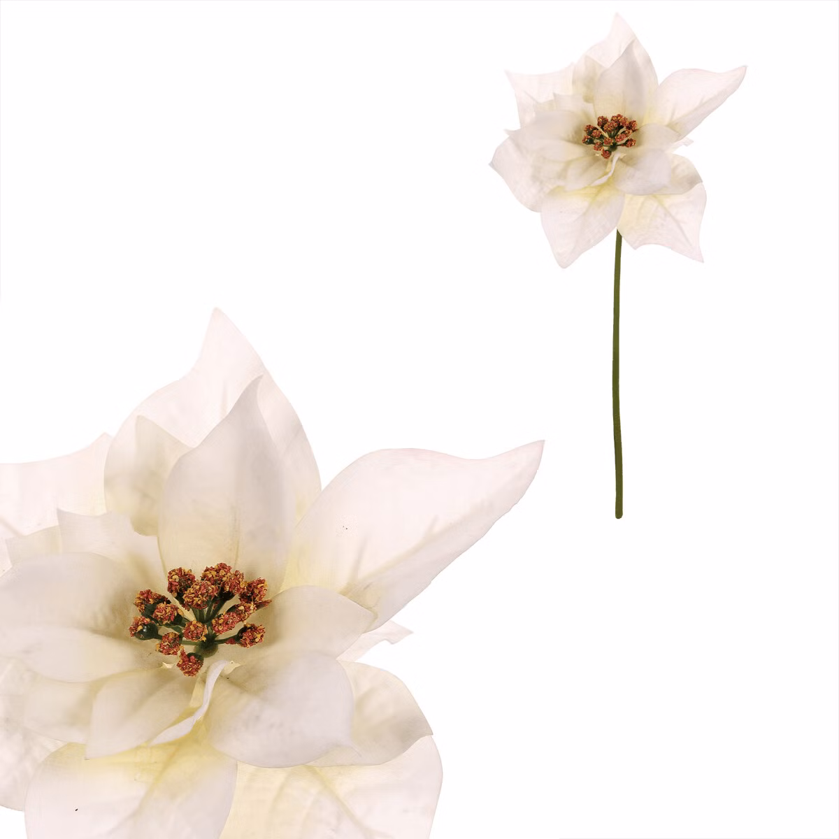 59df84dc0567281442336209bc86b9f1