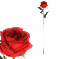 5a32e08be2fc7de7b8a233013ad0f9f8