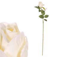 5a519fa55d78fe7cec41fc34423054f4