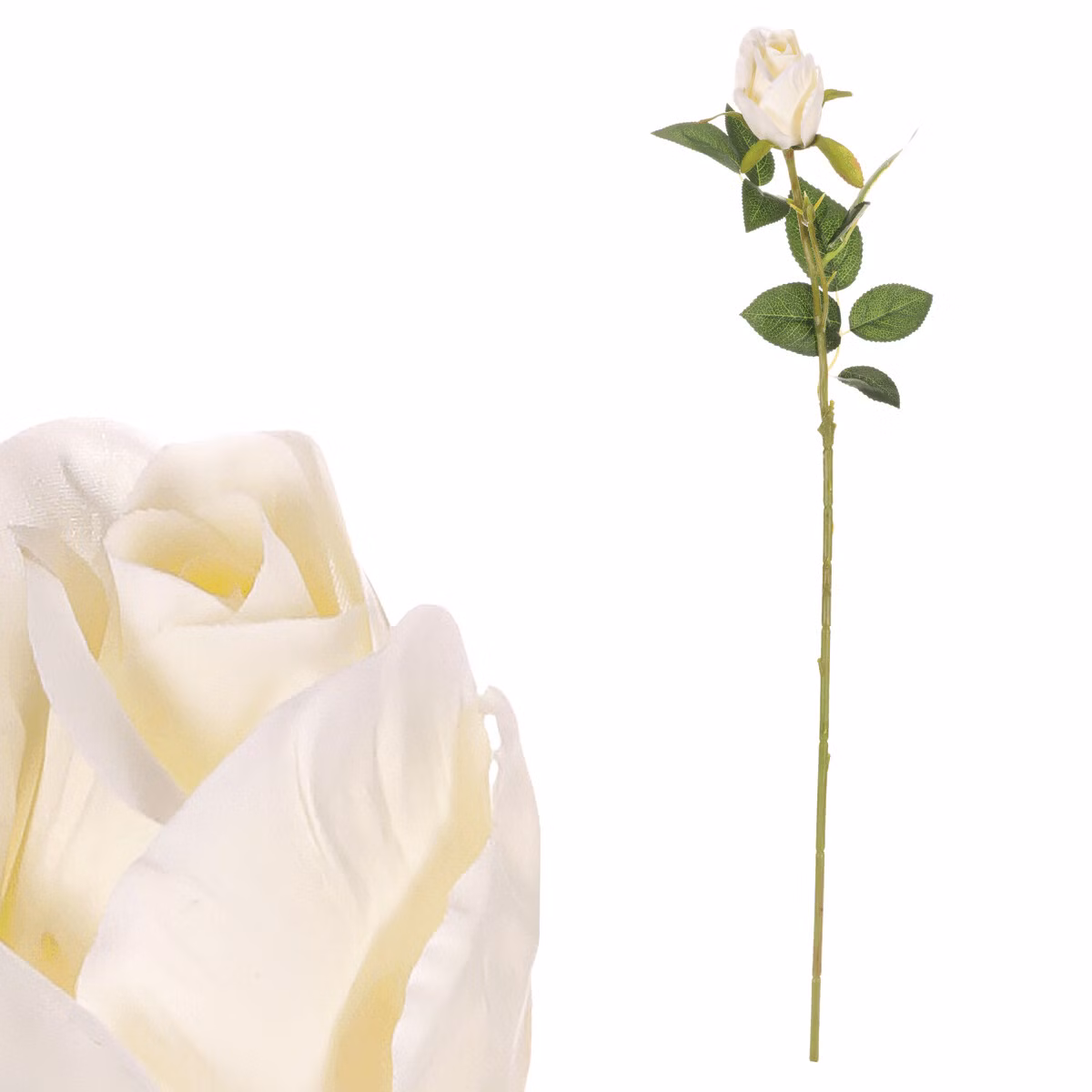 5a519fa55d78fe7cec41fc34423054f4