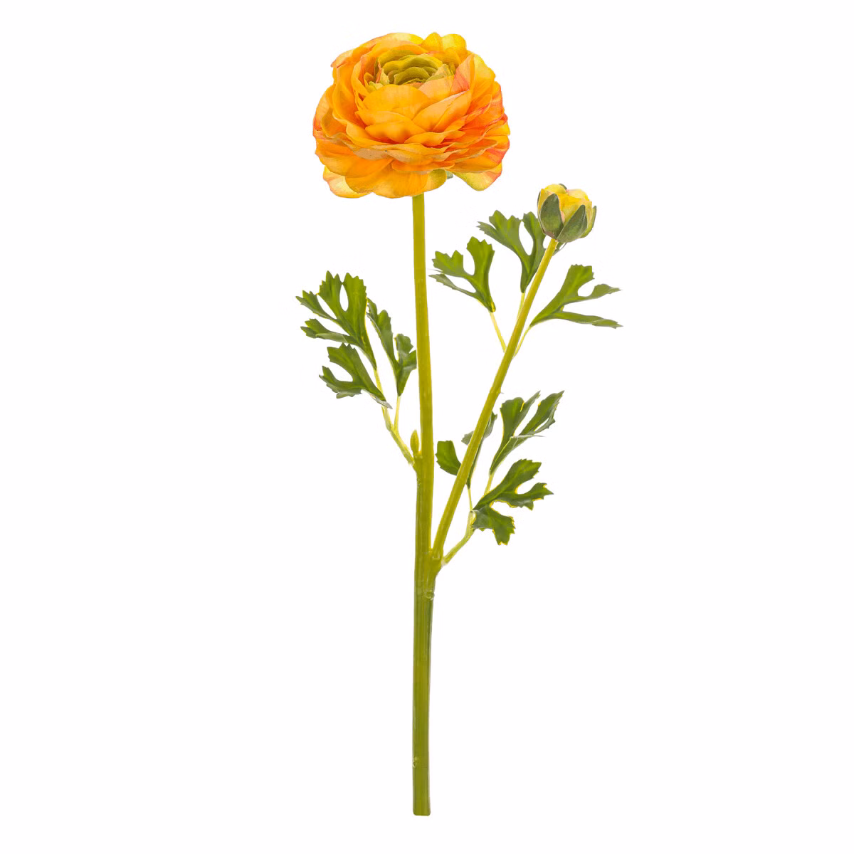 5aa91ef8ead8b7ce9a874a62f20a3781