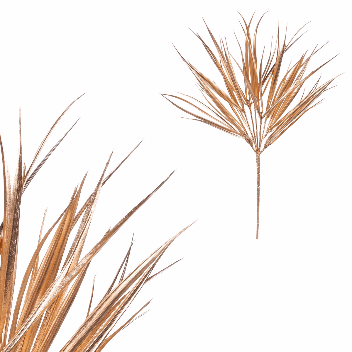 5bbf25b192baf974b2c84a56727a0a12