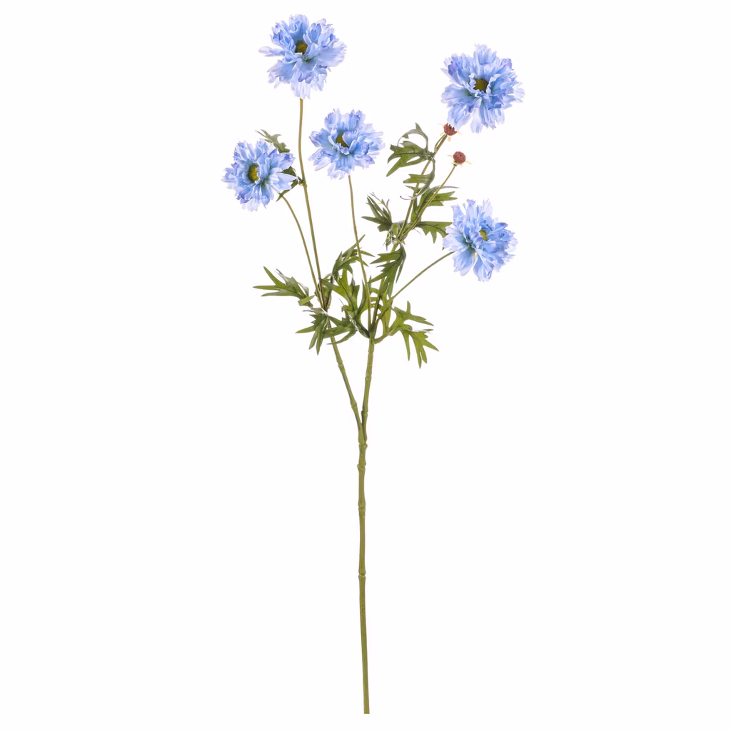 5bc25f4809f97fb6381354ab06e016c2