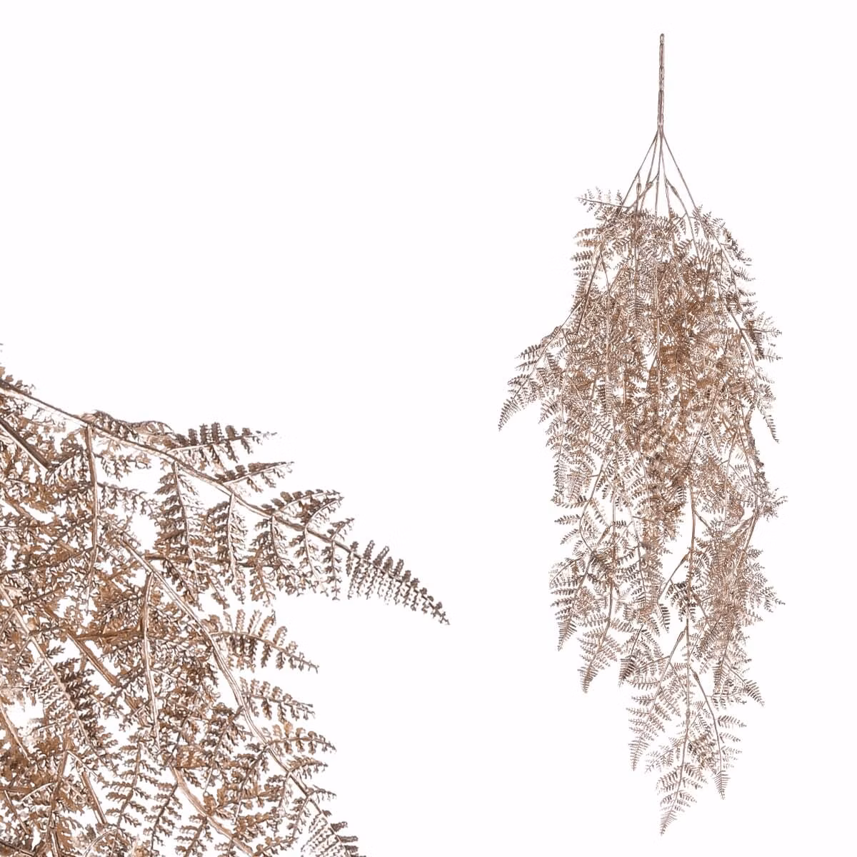 5c1e66136b77e25421ad72832856bc0e