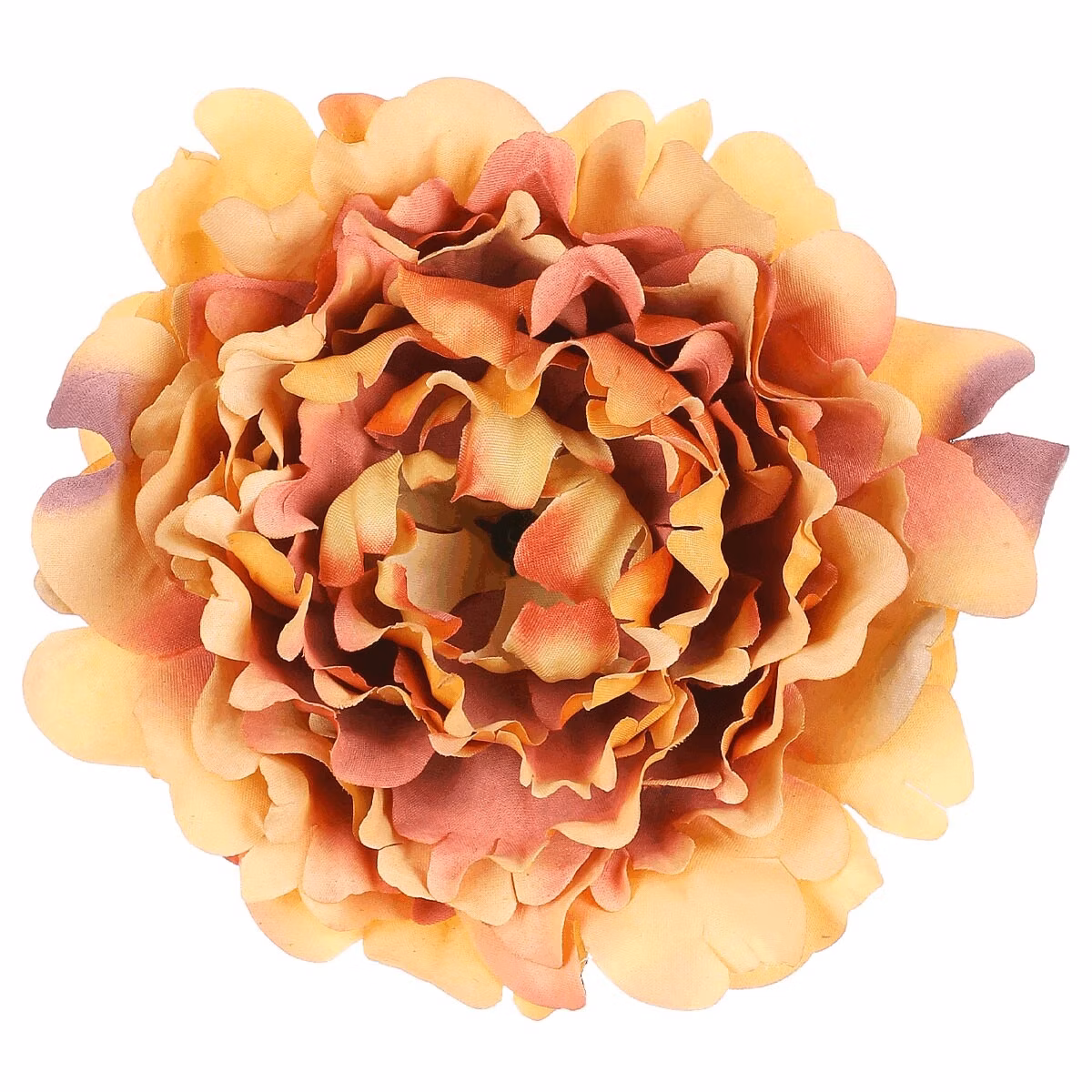 5c5a9f777f5fec8d6d9d343e251b7f01