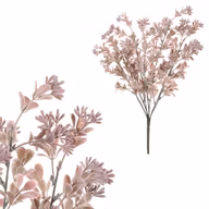 5c640bf316aabcc1f5fe703f7c095722