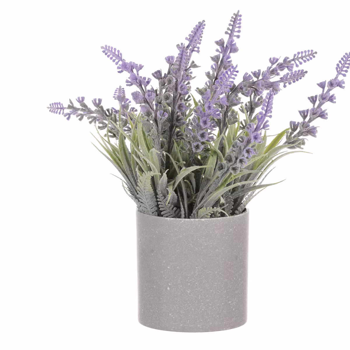 5c86bc05505bb3b51a3adc1bf2f802c0