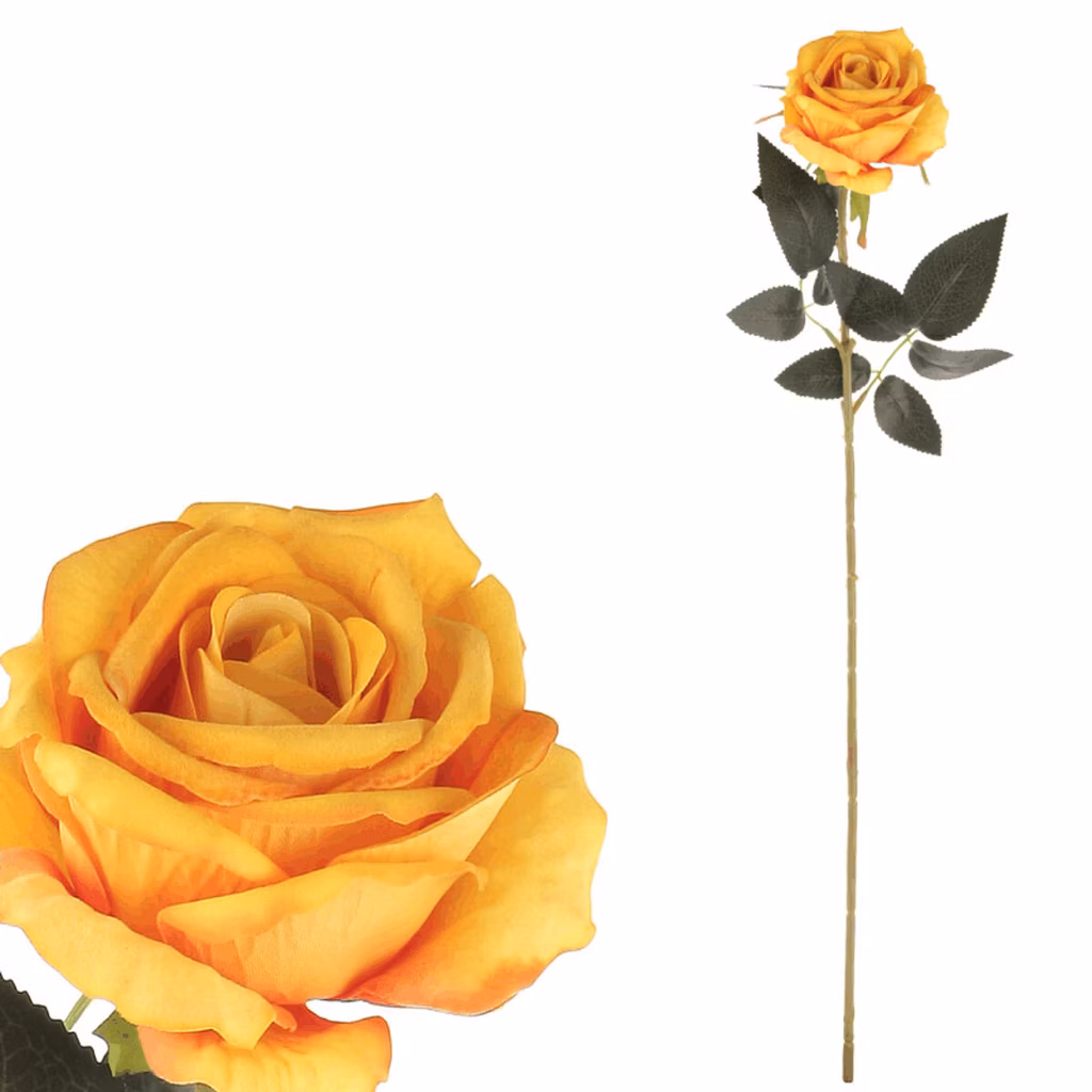 5c8eef8ef8ee295b3bc01c19f4b22c10