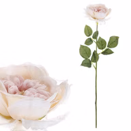 5d0d654af721fc2eda06454e92c633cd