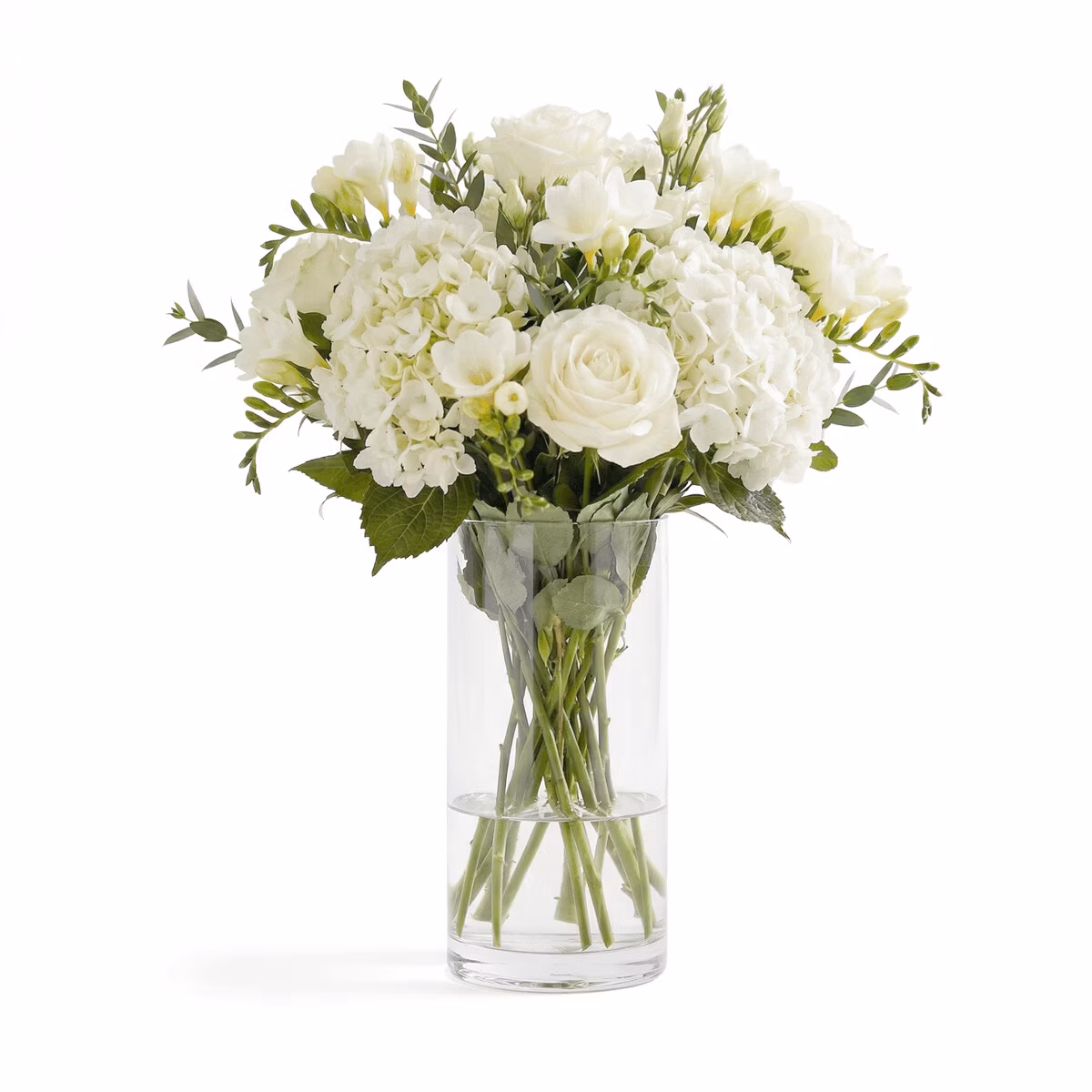 5deca25239b68019682945be9d4d3ec9