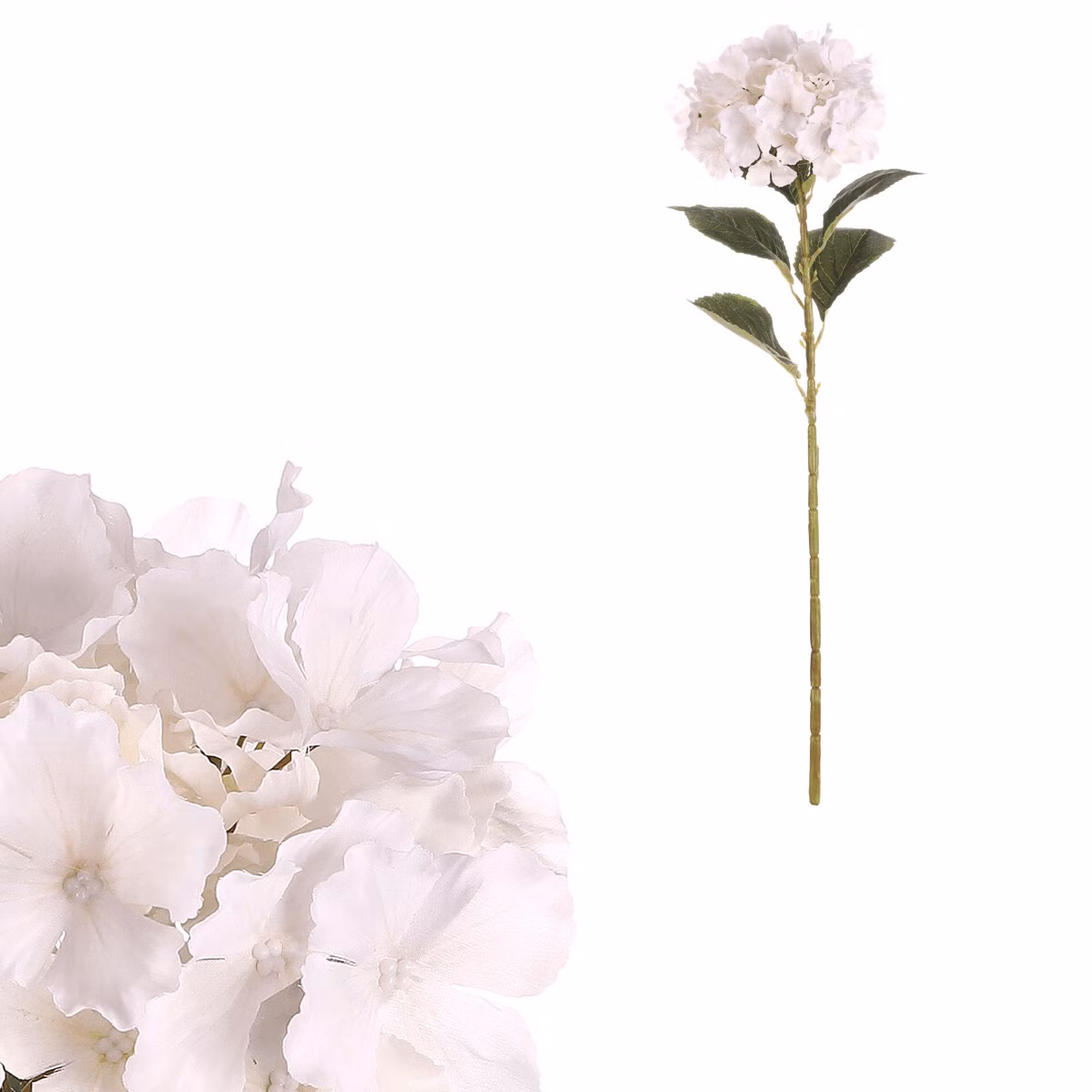 5e367cd711804bdd8f72ec3544909314