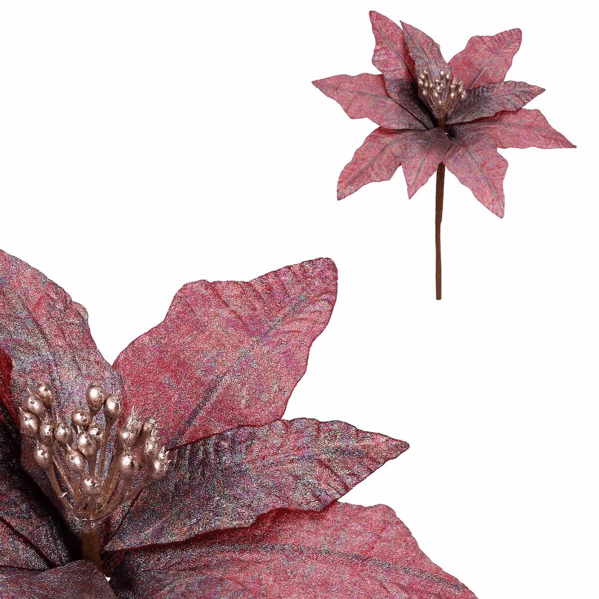 5fb037f2827fd87f432f966ae50a9064