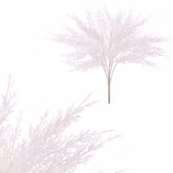 601b7d9c3d7e69f95558bfecd0b56d84