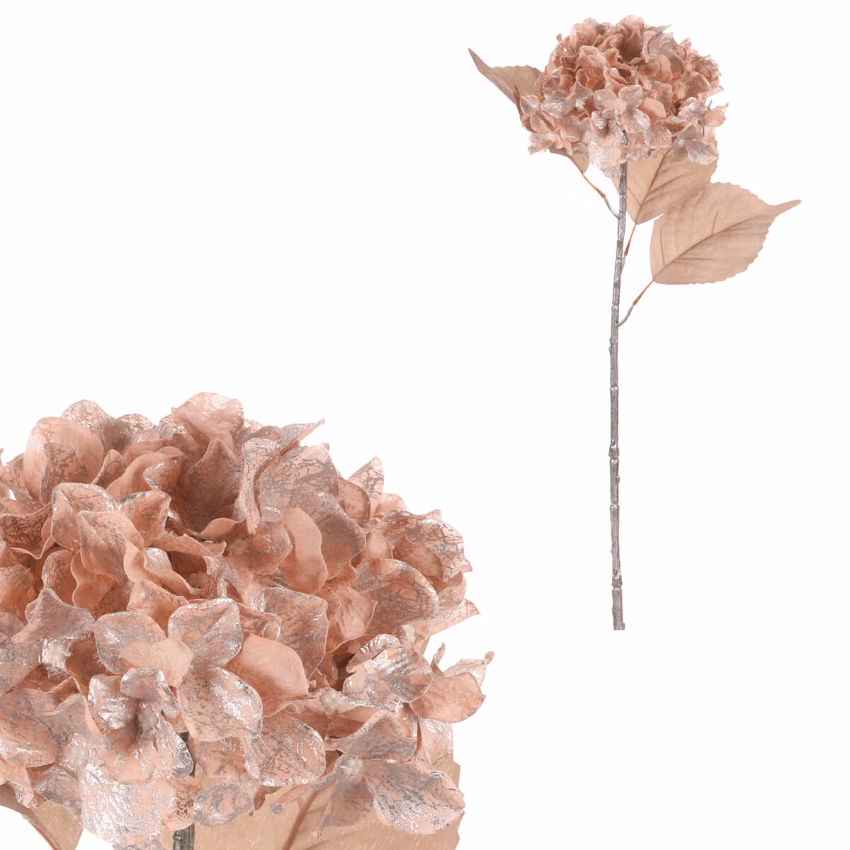 60690e0ff6447fdbe9559695d0d50592