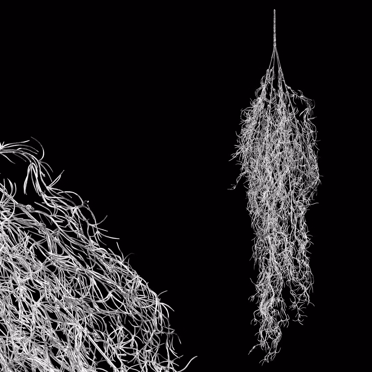 60ca30cc92bf49085cd71a4ce61c1b8a