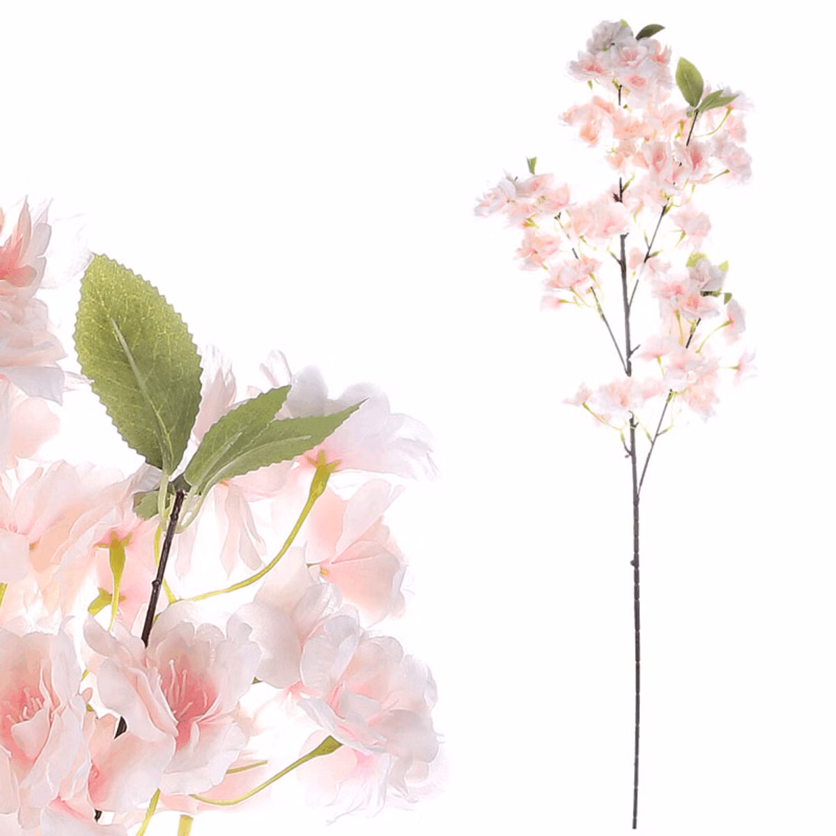 61afa68ecd5f9632f7c968d5f7d8c705