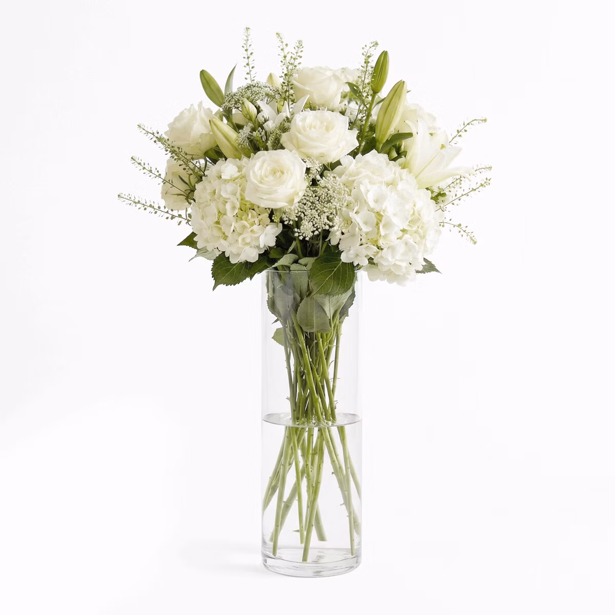 6222f4d01c284c1526f786602b3e76f8