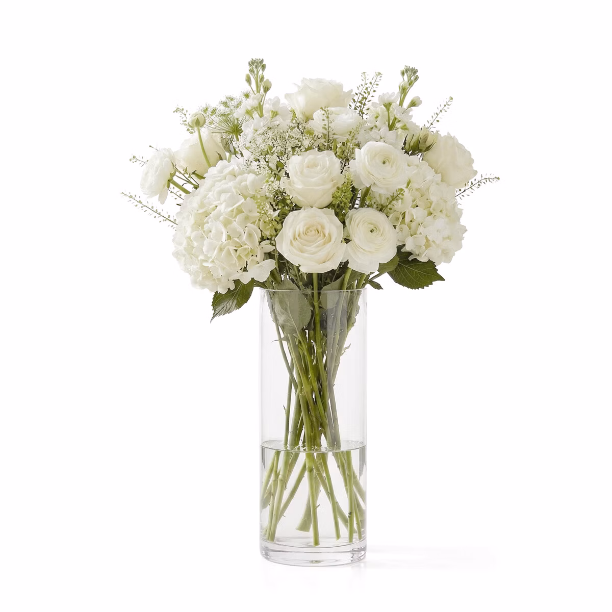 624e59c2fd0d3e1b367996a95b4121b8