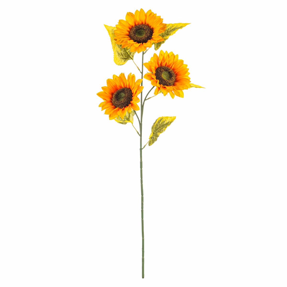 62f5f20f3db89b0d869fe57850eb05fa