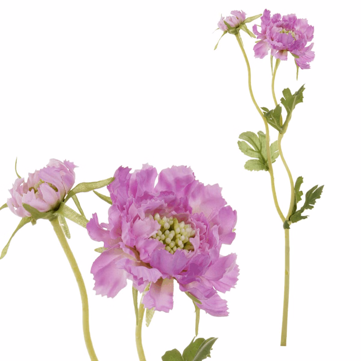 63a85655ea008007c28b1b92f930e940