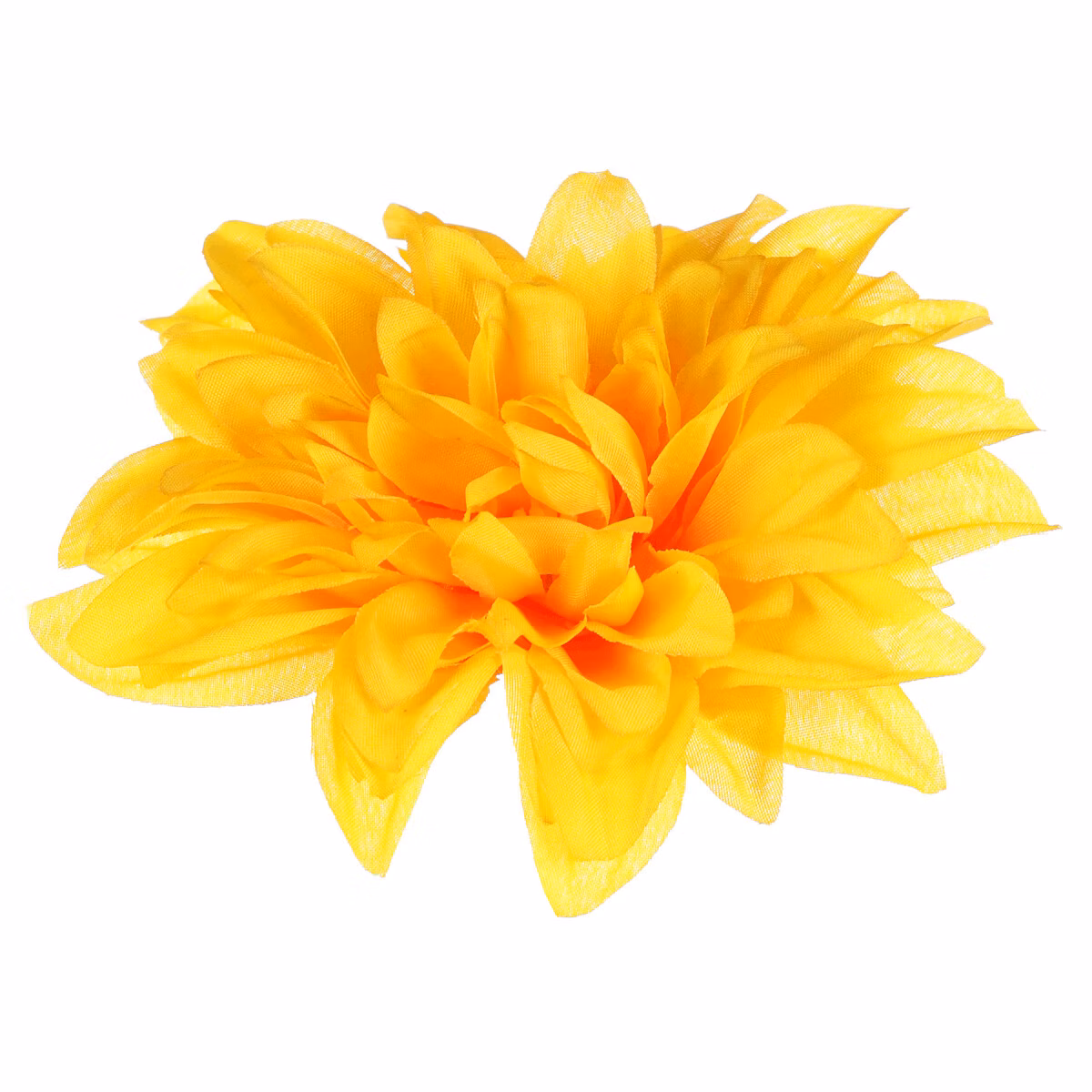 6591ff2f01a21ecc22840e758f08a606