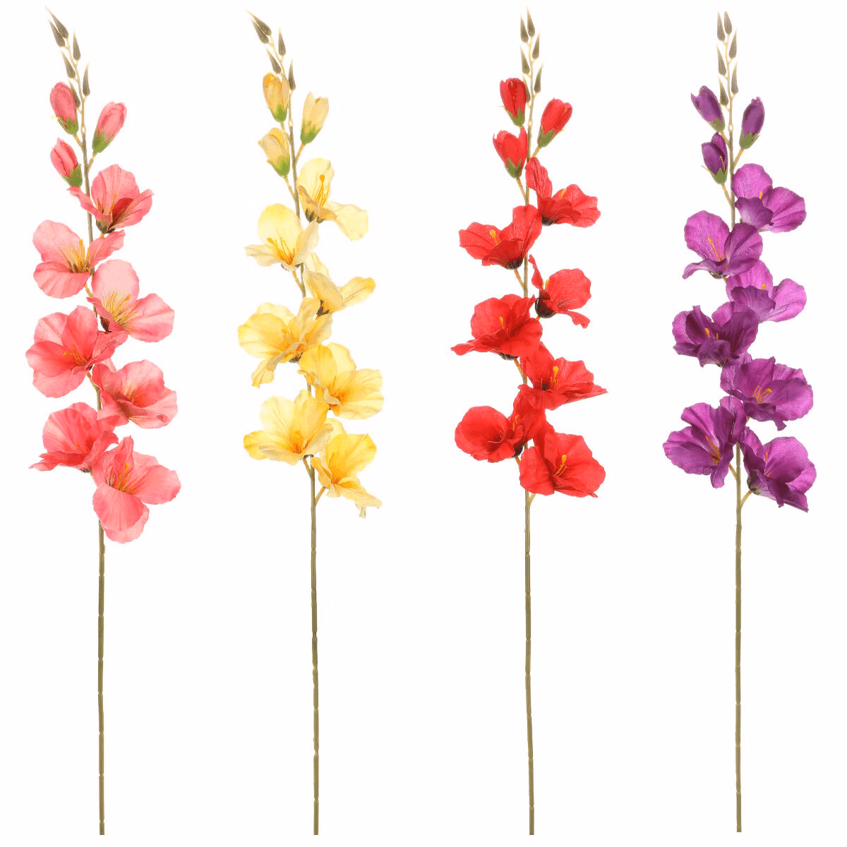 66a3f96d49f13ebdb7a38050a57a8515