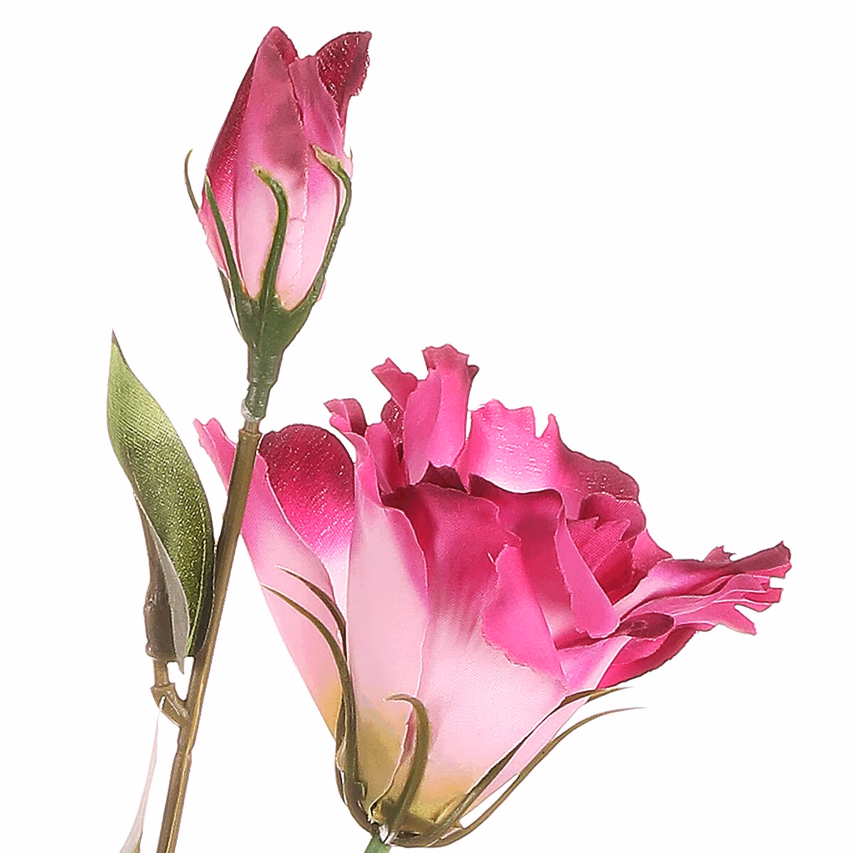 695fa73c2923c38dc522c9b594a02049