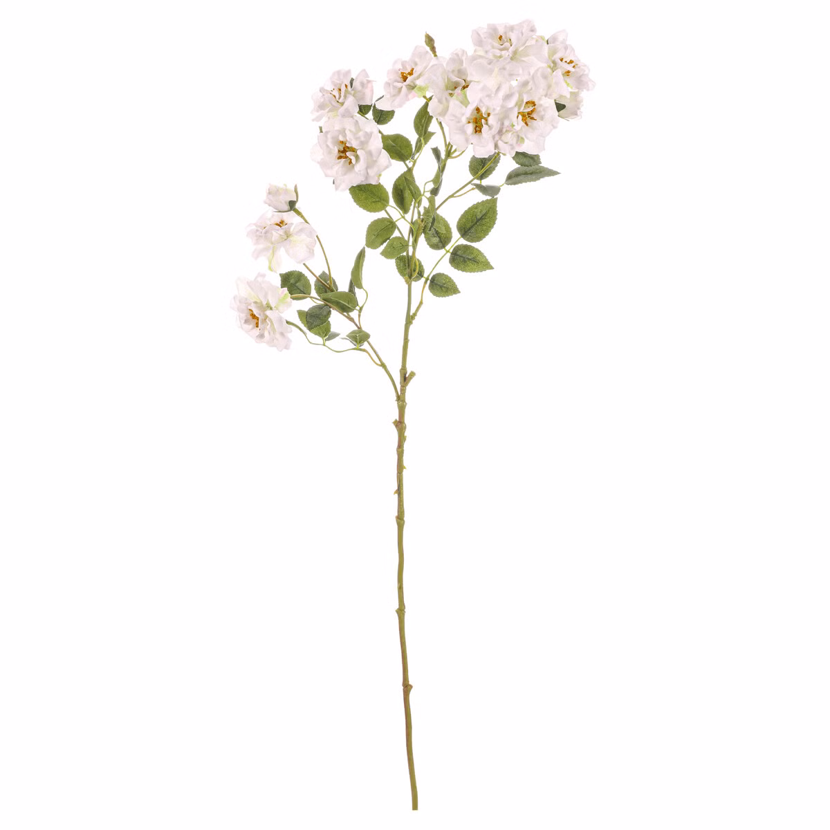 697070f825a9bd0c74bd5565105a6a72