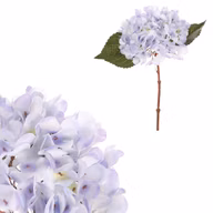 69c3706ce2b97278343ca560b2ed5a2f