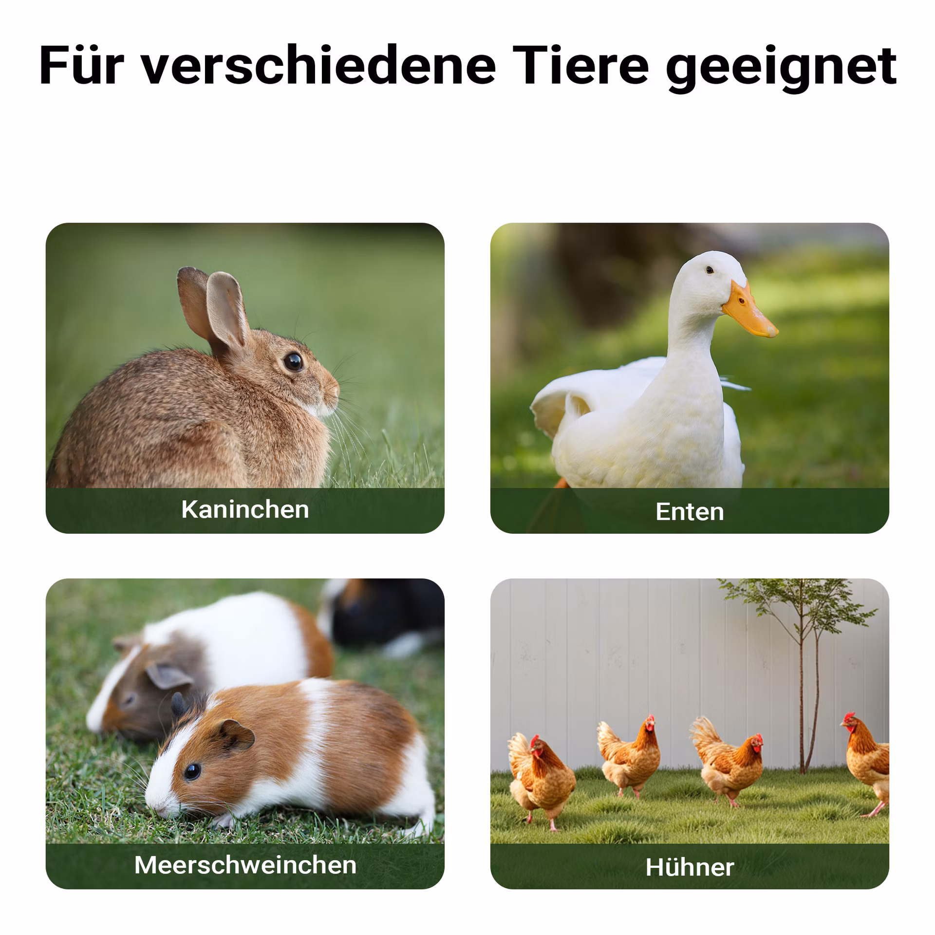 6ab5f686a4f03b4ae1a907c4543121ee