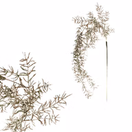 6c173fcb6e17aeed254ce0227b42bdb0
