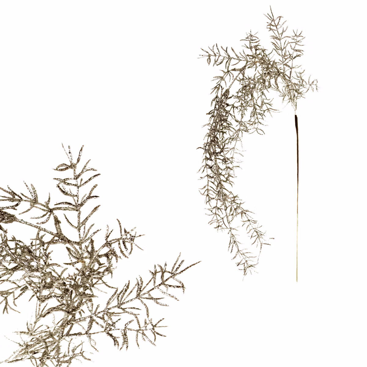 6c173fcb6e17aeed254ce0227b42bdb0