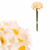6d0303edf18e6bb2ac6c01431b31d23d