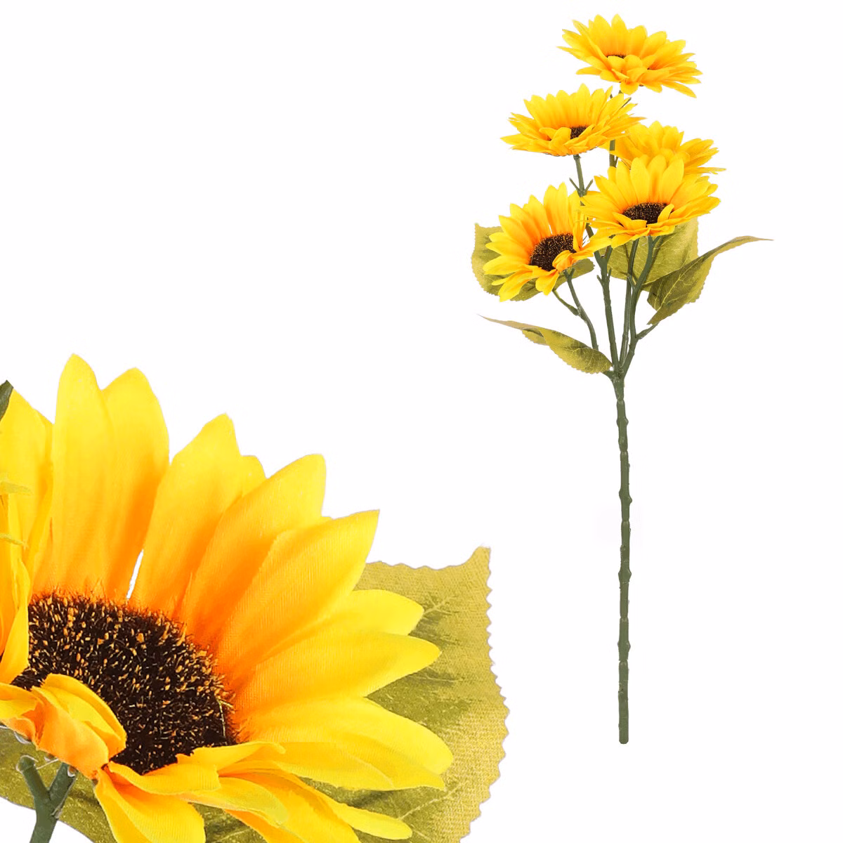 6d36e9f4b3649b2383471fcc428e88fa