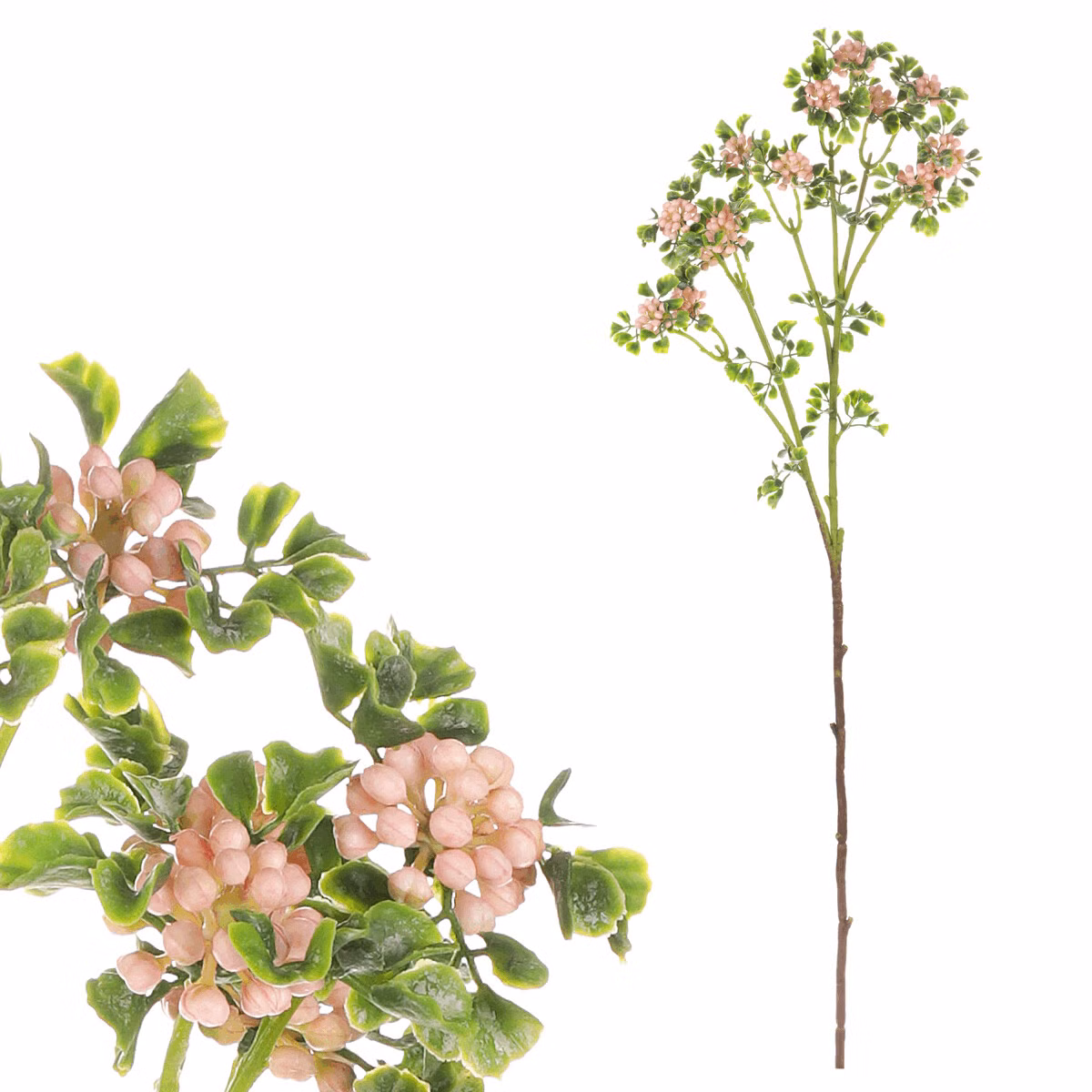 6de752ebb59a8c297a52606a4b7e3170