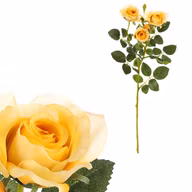 6f47fef57b6e1b94b8408d0e77d7a9df