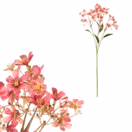 70e0f1c35864a53a037105b6c79299fd