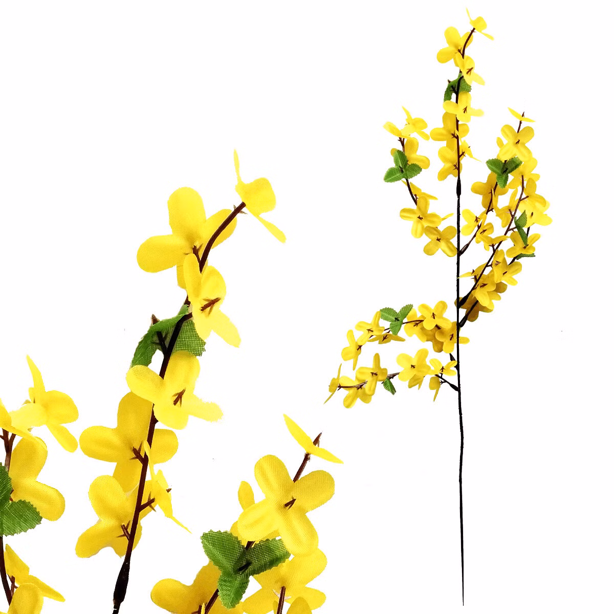 715def9c0807738440877f027040ac5d