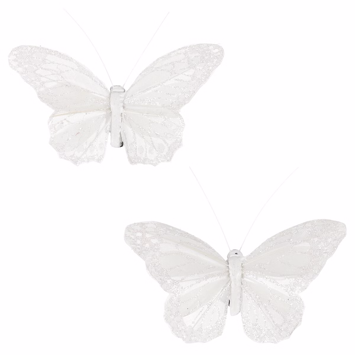 716e692083e029480b2dc6a42f51ca53