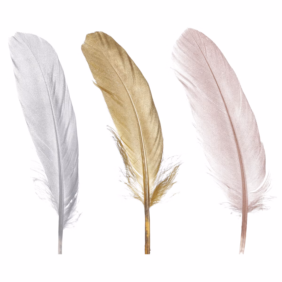 720154f986c212d6f3d000c464c1f4e6