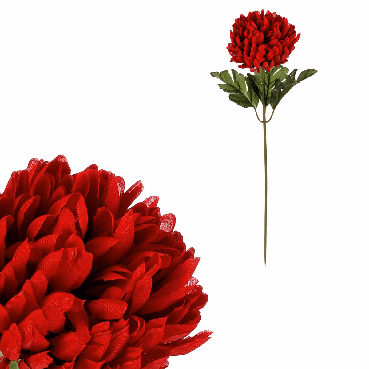 725c8a5907efba202491475a75064288