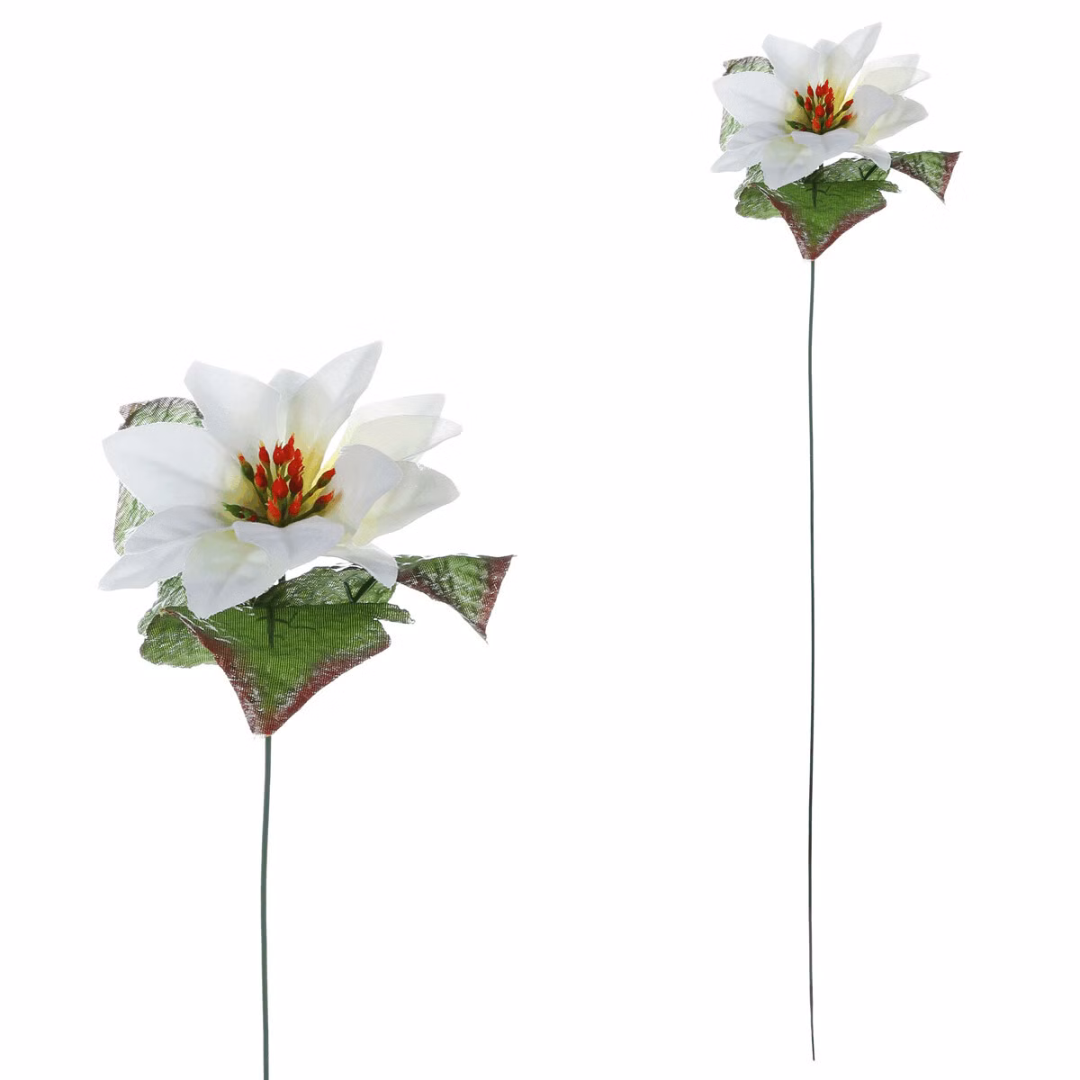 727b7a8ec23c99262b6f1415251e6fce