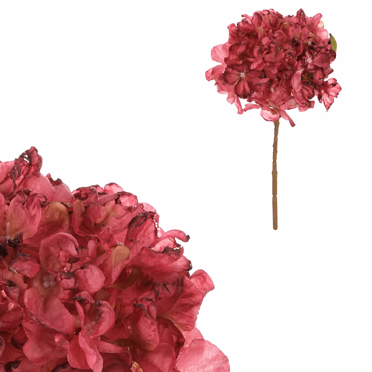 72e0e082287cf43a9003222e8faf0e3a